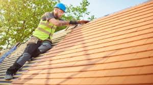 Best Roof Moss and Algae Removal  in Fruitport, MI