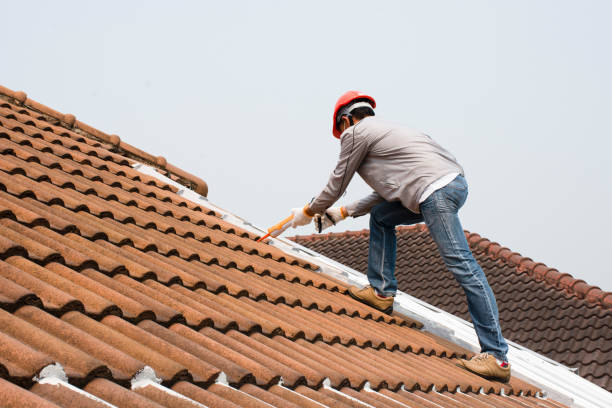 Best Metal Roofing Installation  in Fruitport, MI