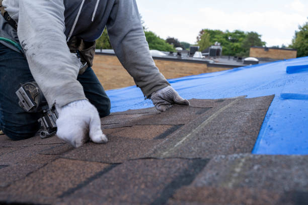 Best Gutter Installation and Repair  in Fruitport, MI