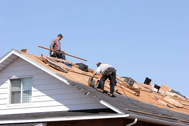 Best Emergency Roof Repair Services  in Fruitport, MI