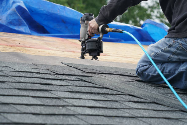 Best Roof Insulation Installation  in Fruitport, MI