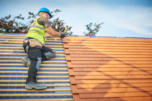 Best Roof Maintenance and Cleaning  in Fruitport, MI